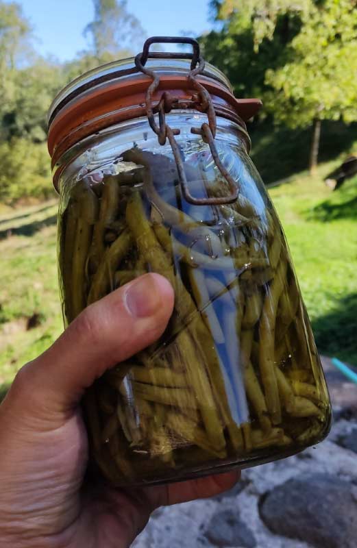 Bocal de haricots